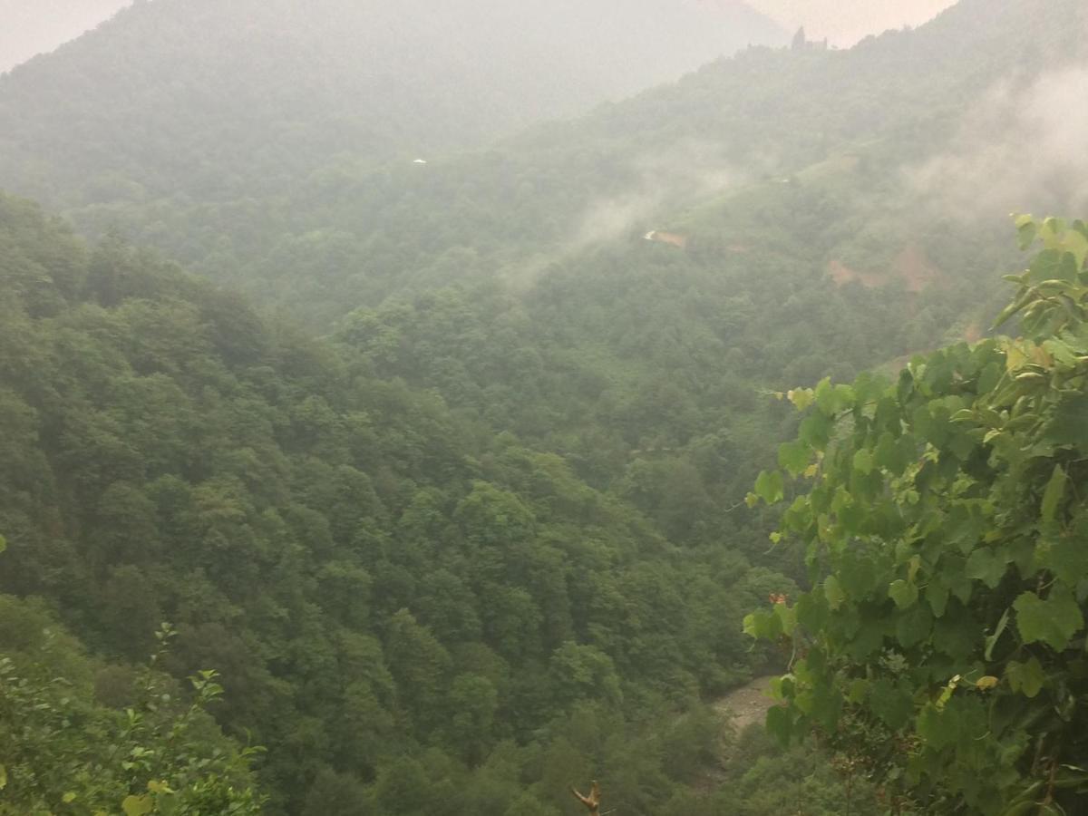 Hotel 코불레티 외부 사진